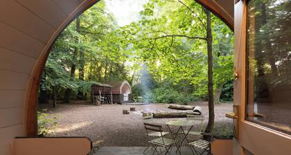 Cosy Bluebelle Glamping pod in a secluded woodland clearing