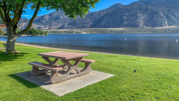 A picnic table with a stone design, located on a grassy area by a lake with mountains in the background. - Camaray Motel (Oroville)