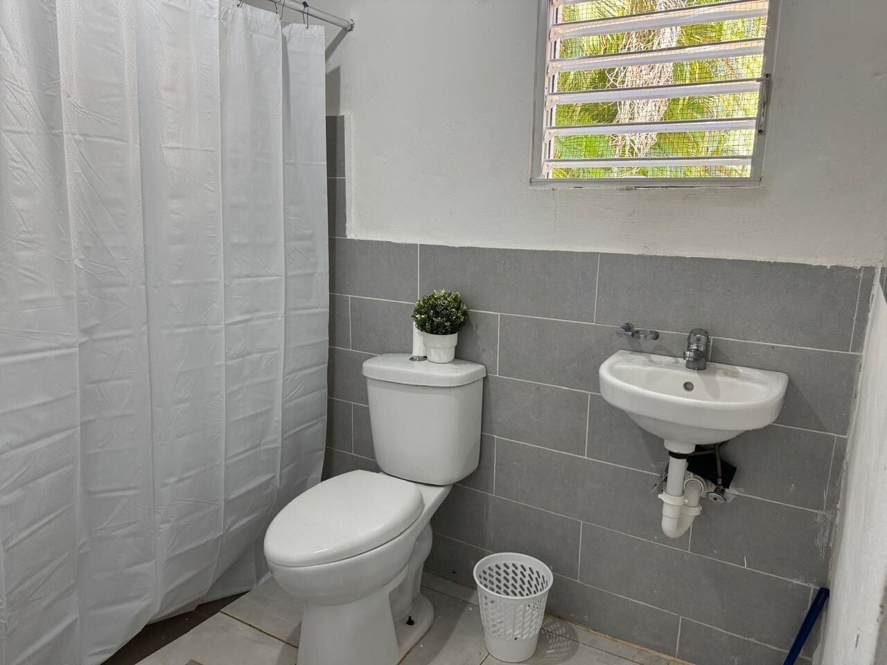 Une salle de bain avec des toilettes, un lavabo, une petite plante en pot et une fenêtre donnant sur un paysage verdoyant.