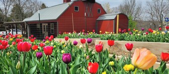 New Farm Barn, near Branson, MO