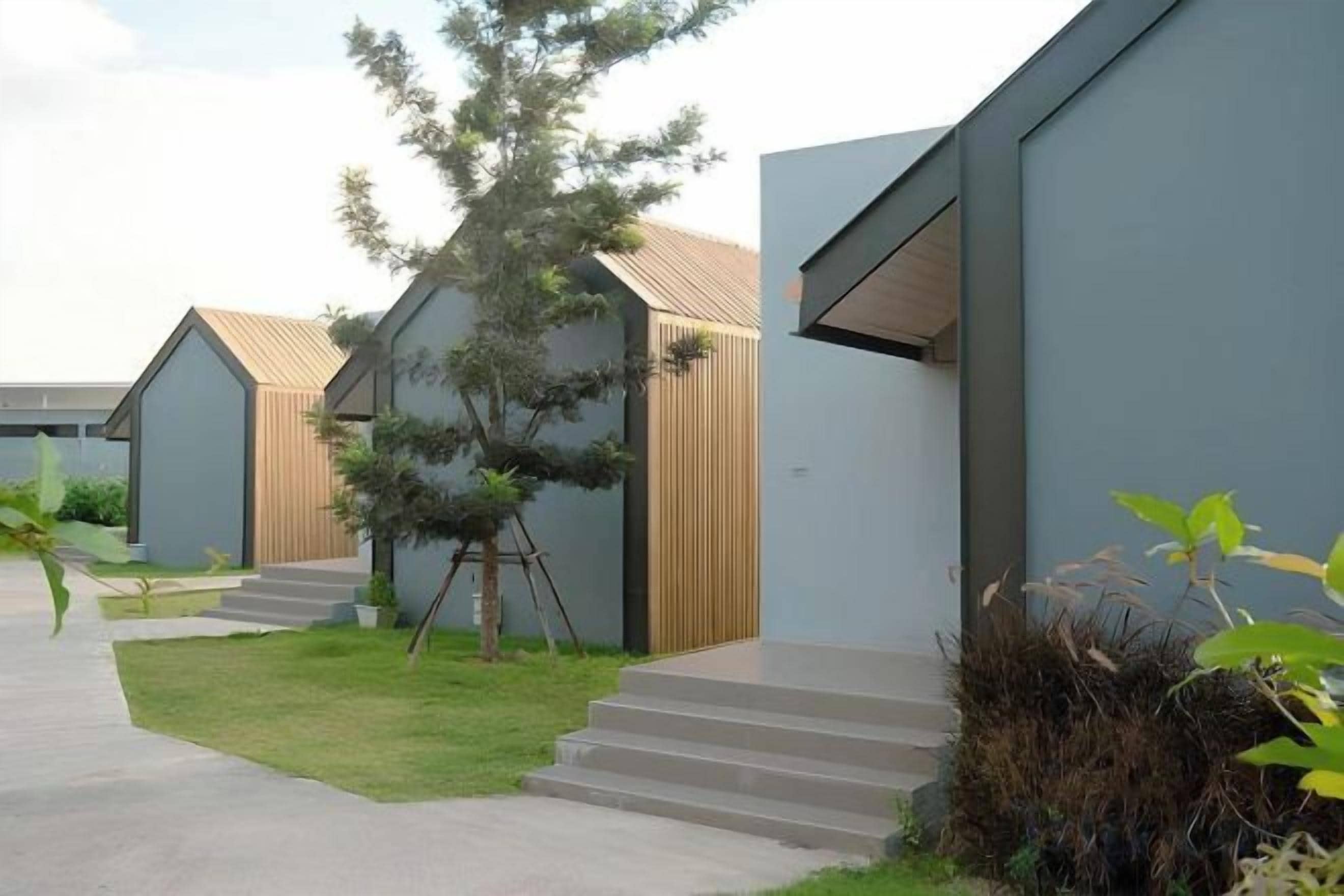 Un bâtiment moderne doté d’un toit plat, d’un petit arbre au centre et d’un chemin pavé menant à l’entrée.
