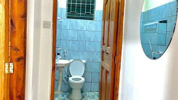 Shower, hair dryer, bidet, towels