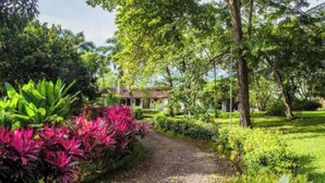 Un sendero conduce a un edificio rodeado de abundante vegetación y plantas coloridas.