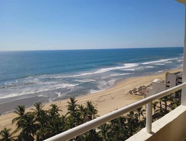 On the beach - Ave de mar (Quintas del Mar Mazatlán)