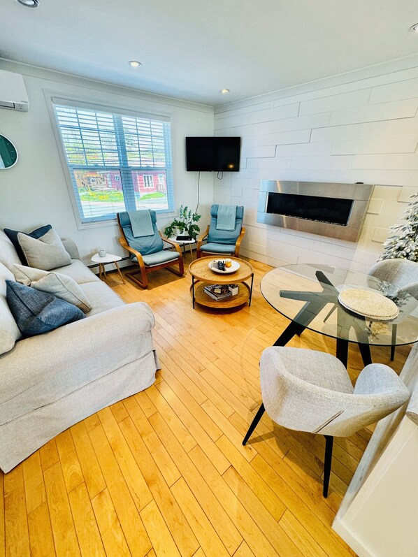 Smart TV, fireplace, books