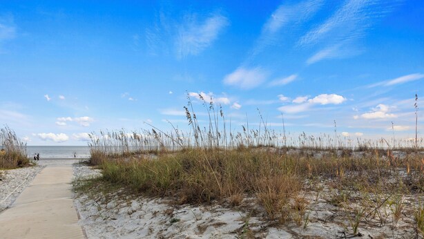 A sandy beach path with tall grasses and a clear blue sky. - Beach, Indoor and Outdoor Pools, Hot tub, Tennis walk Coligny Plaza! (Hilton Head Island)
