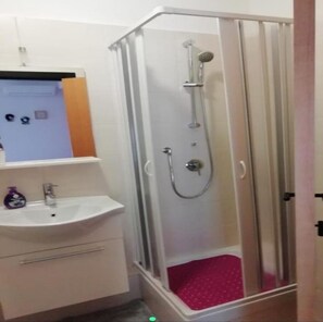 Shower, hair dryer, bidet, towels