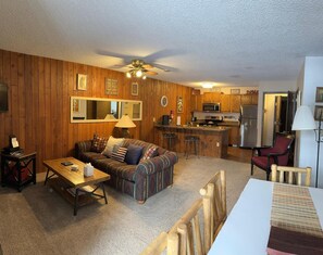 TV, fireplace, table football, books