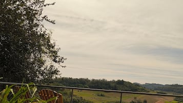 A wooden deck with chairs overlooking a lush green landscape.