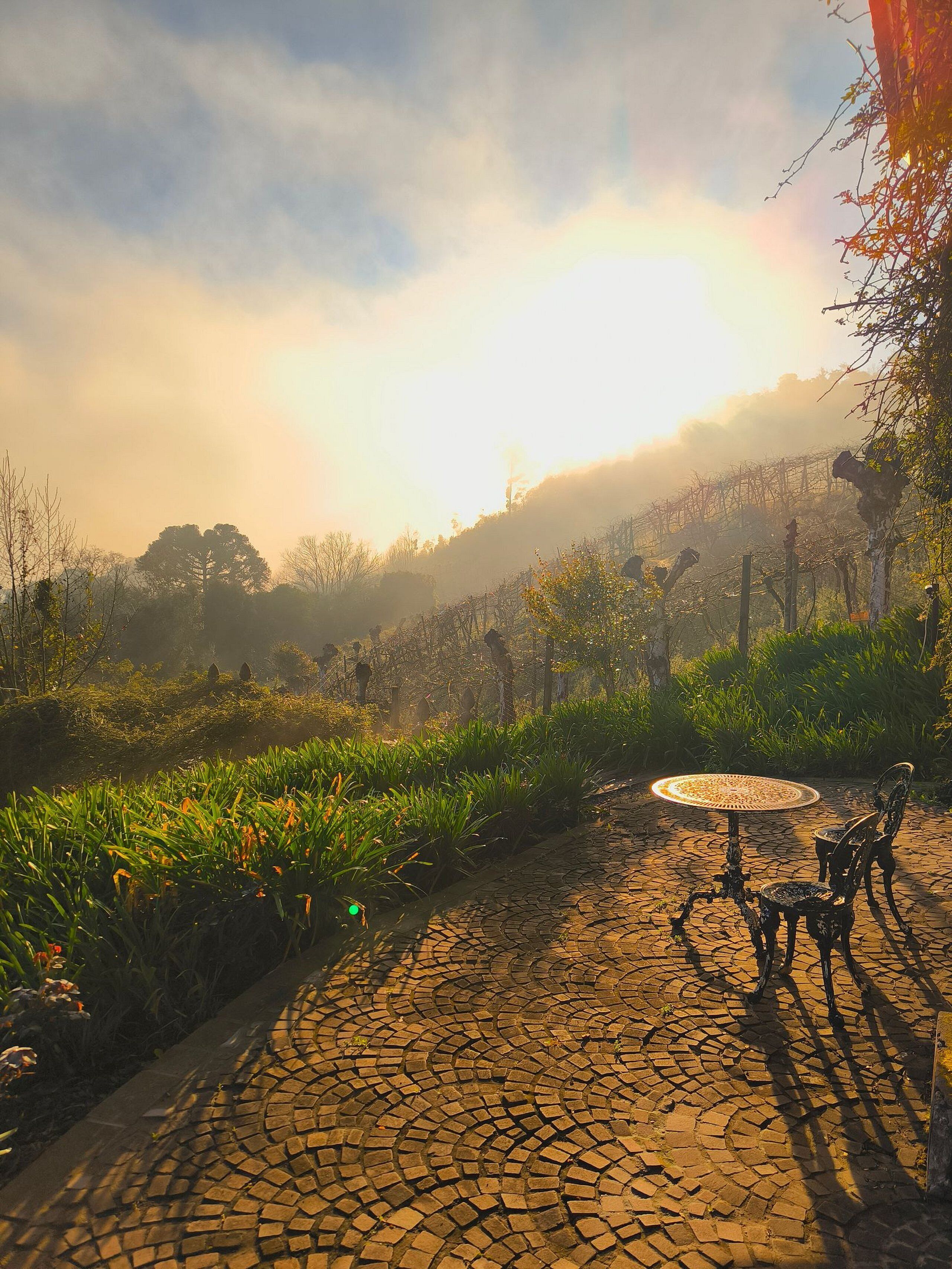A cobblestone pathway leading to a round table with chairs, surrounded by greenery and a backdrop of trees and hills.