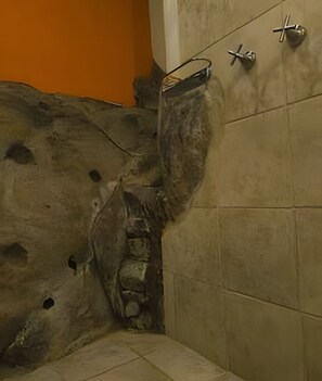 Suite | Bathroom | Shower, hair dryer, towels, soap