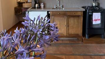 Villa | Private kitchen