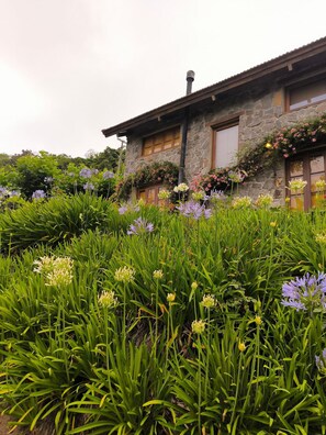 Villa | Áreas de la propiedad