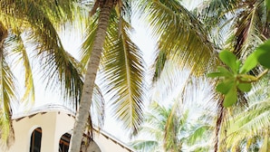 A building with multiple arches and a covered patio area surrounded by lush greenery and palm trees. - Olas Tulum (Tulum)