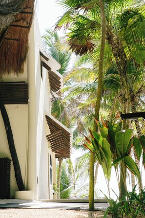 Detalle del exterior