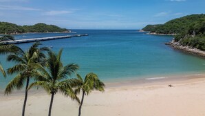 Una playa con palmeras, un muelle y un cielo azul despejado.