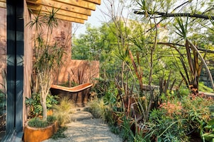 Un sentier de jardin bordé de différentes plantes et agrémenté d’une structure en bois.