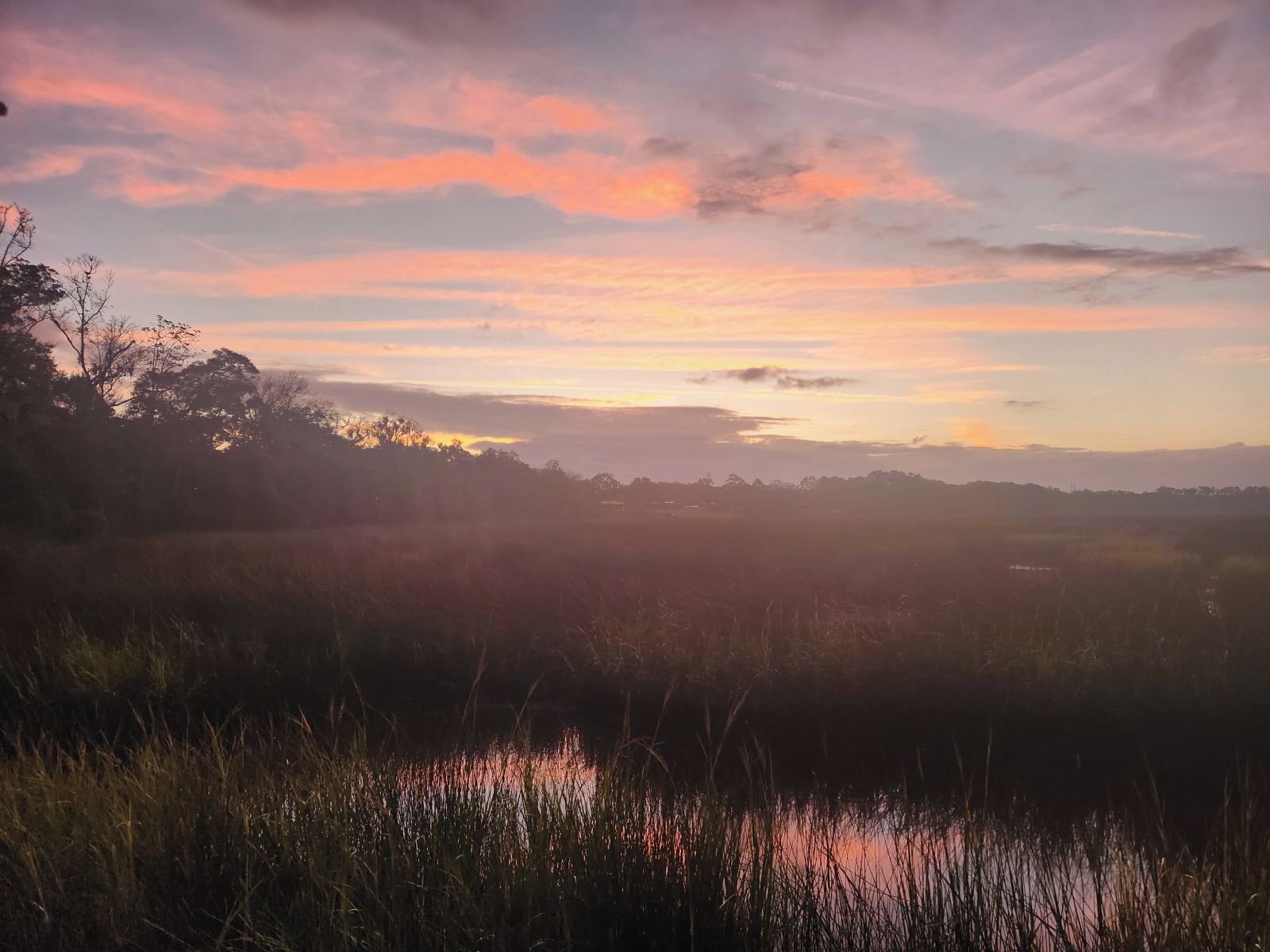 A natural landscape with a sunset over a body of water, surrounded by tall grasses and trees.