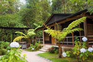 Une maison en bois dotée d’un porche, entourée d’une végétation luxuriante et de fougères.