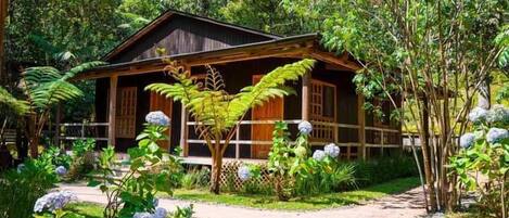 Una cabaña de madera rodeada de abundante vegetación y un jardín con diversas plantas y flores.