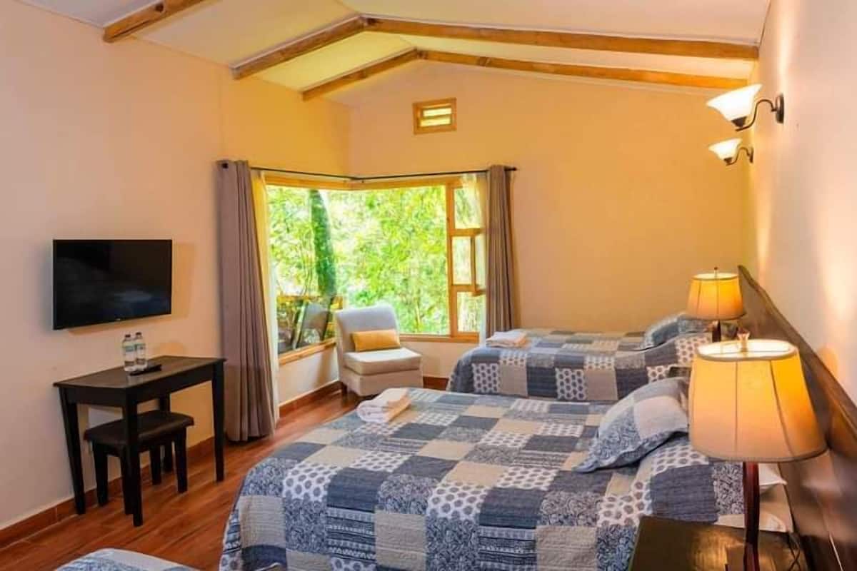 Un dormitorio con una cama grande, televisor, escritorio y ventana con cortinas.