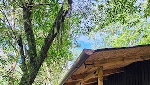 Una baita di legno con veranda, immersa in una fitta foresta.
