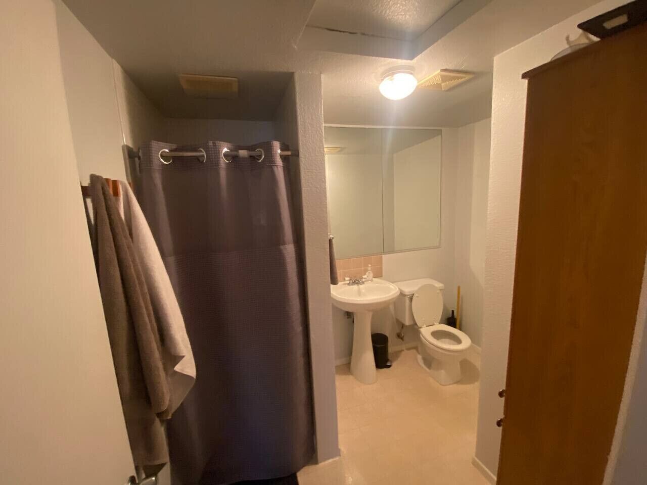 Un bagno con tenda doccia, lavandino, water e specchio.