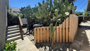 Una planta de cactus en una maceta de madera, una valla de madera y una escalera de concreto.