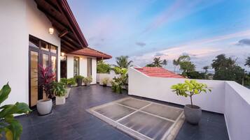 A rooftop terrace with potted plants, a glass door entrance, and a view of the sky.