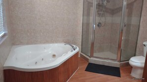 Shower, jetted tub, hair dryer, towels