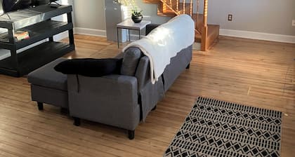 Art Pennington 4-bedroom house with WiFi in Cedar Rapids NewBo / Czech Village