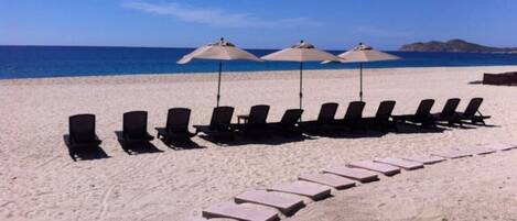 بالقرب من الشاطئ