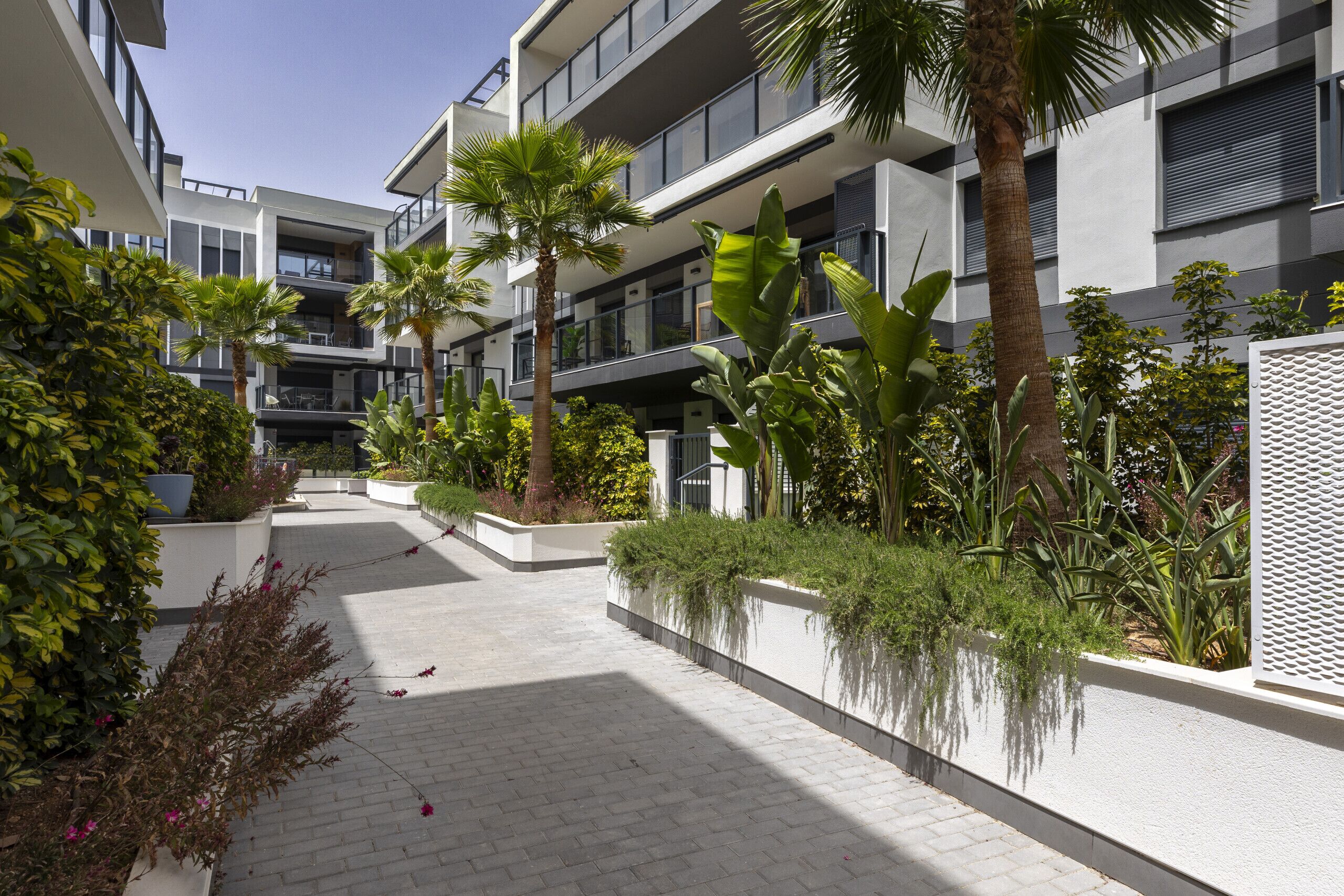 A modern building with balconies, a paved walkway, and various plants.