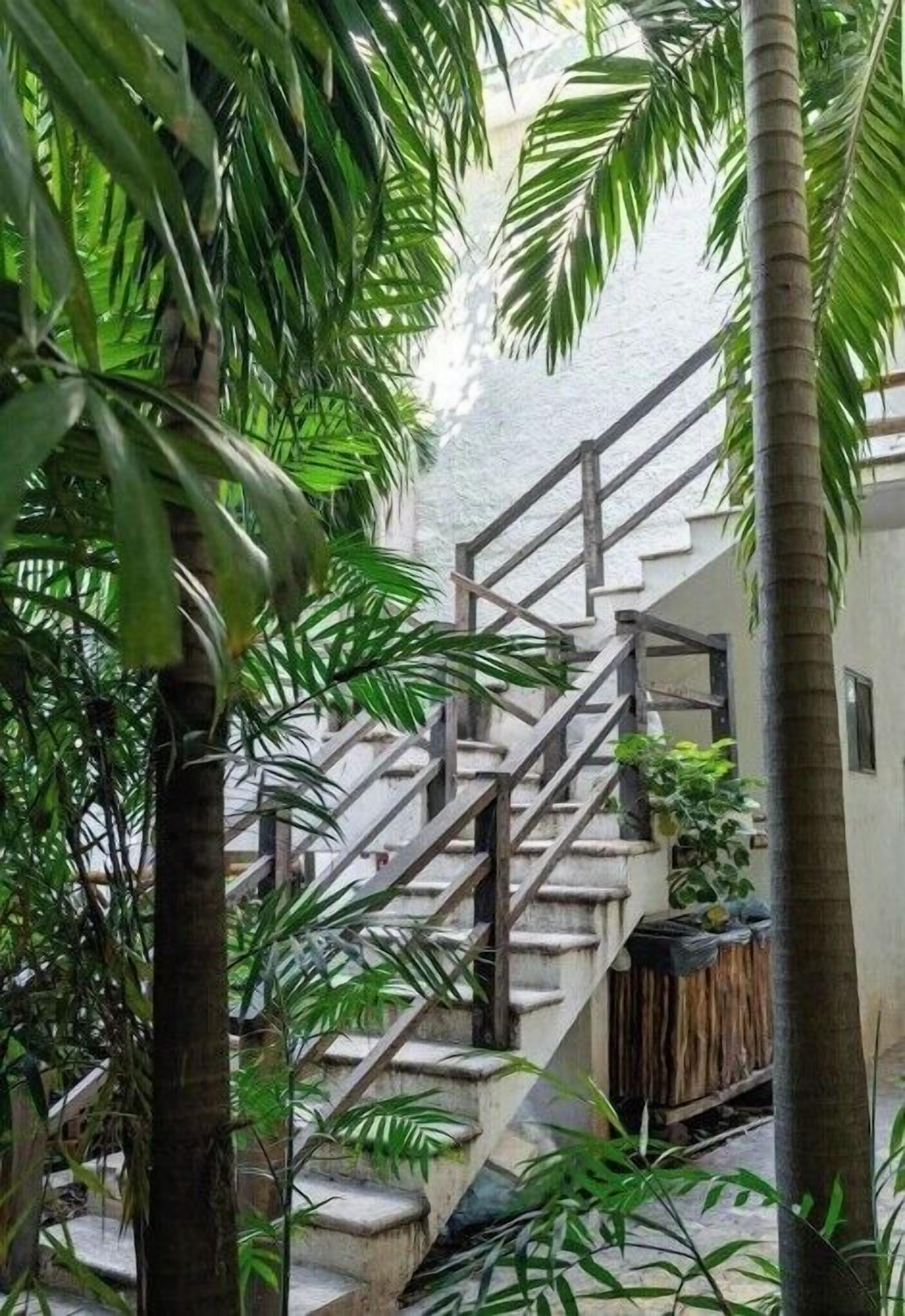 A staircase surrounded by lush green foliage, leading to a building with a concrete exterior.