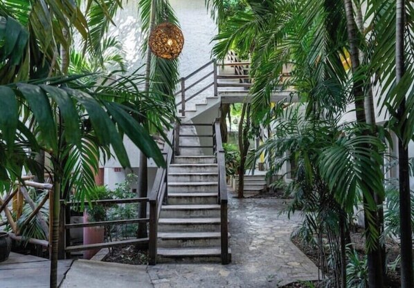 A staircase surrounded by lush greenery, leading to an upper level.