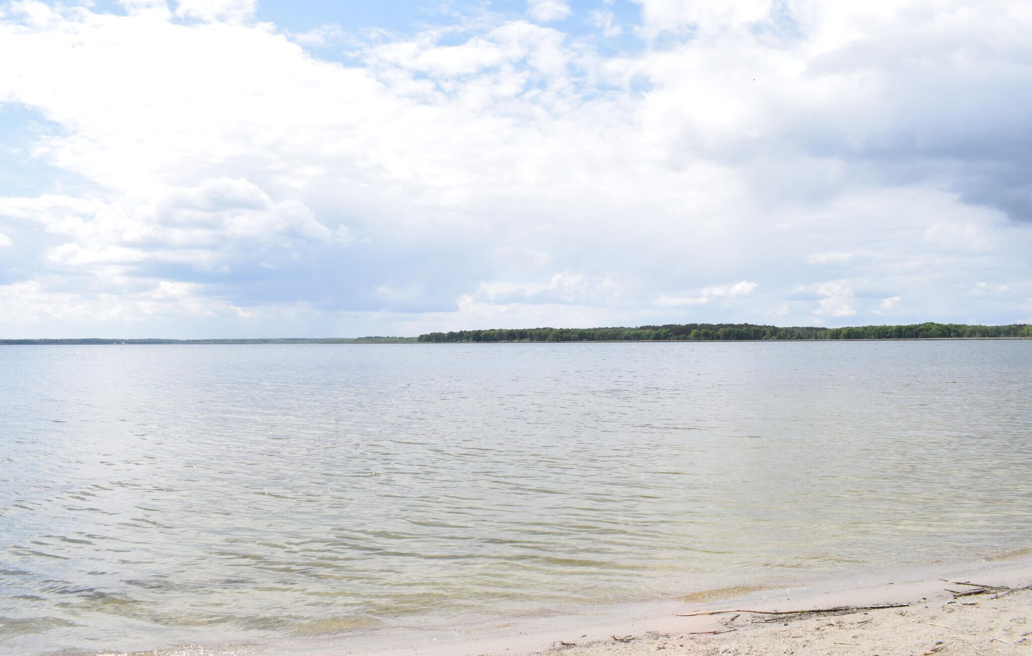Um lago tranquilo com uma praia arenosa e uma margem com floresta.