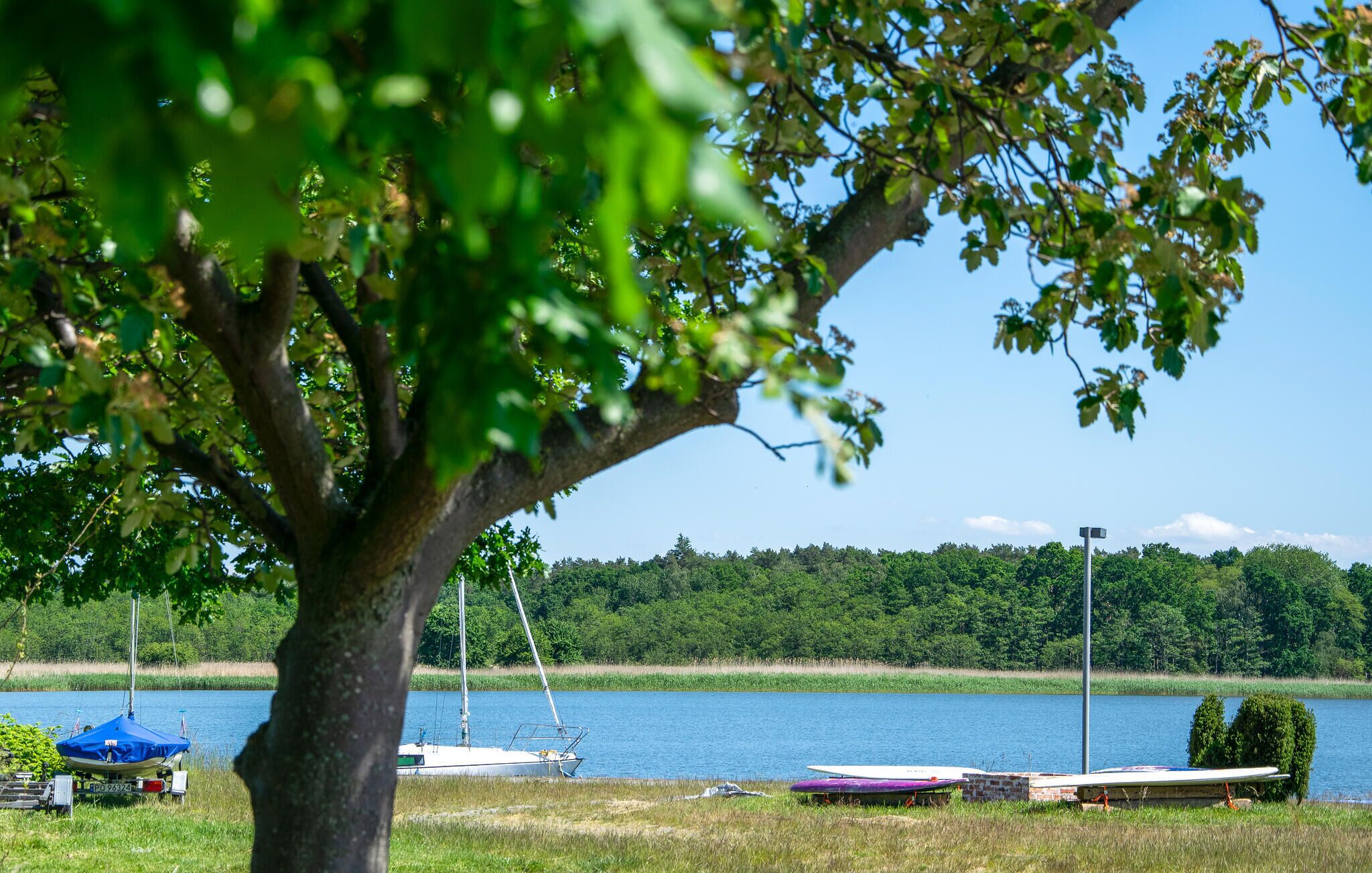 منوع