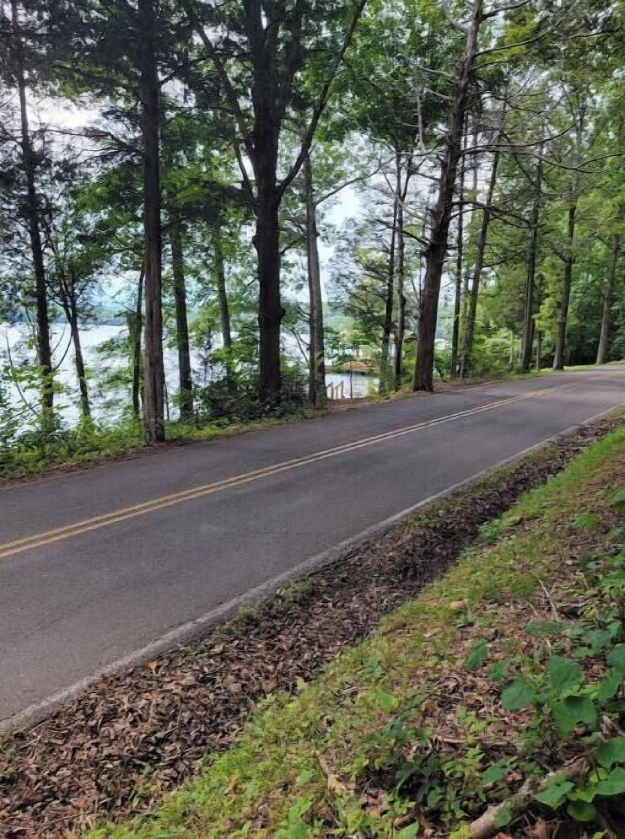 A two-lane road surrounded by dense trees and a body of water in the distance.