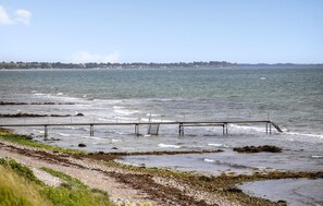 Pesca