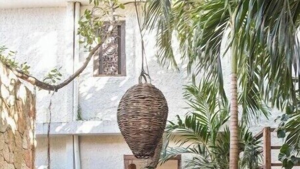 A stone pathway leading to a building entrance, flanked by a wooden fence and potted plants. - Twin Room on 5th A06 (Playa del Carmen)