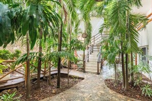 Property grounds - Master Room on 5th, one block to the beach (Playa del Carmen)