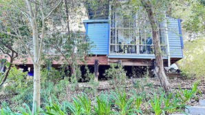 A treehouse with a blue exterior, surrounded by dense foliage and plants. - Peaceful LA Retreat w/ King Bed, Hot Tub and Mountain Views! Enjoy the Outdoors (Topanga)