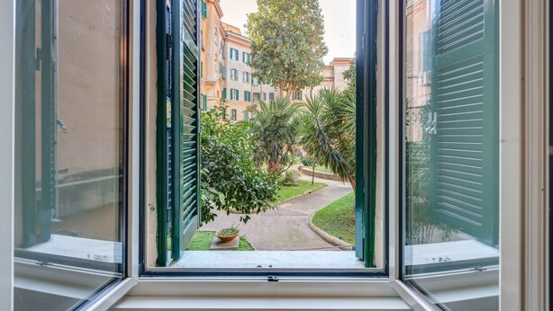 Una ventana con vistas a un patio con edificios, un árbol y una planta en maceta.