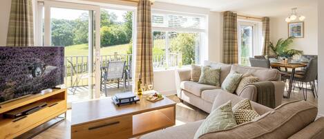 TV, DVD player, books