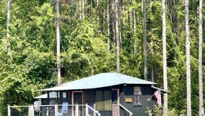 A cabin with a dock and chairs, surrounded by trees and a lake. - 81 Pines-The Cabin (Waycross)