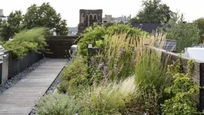 A rooftop garden with a wooden deck, various plants, and a stone border. - Hôtel Noucha (Paris)