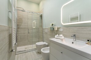 Shower, hair dryer, bidet, towels
