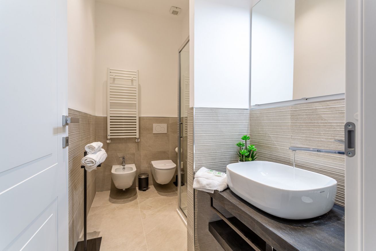 Shower, hair dryer, bidet, towels