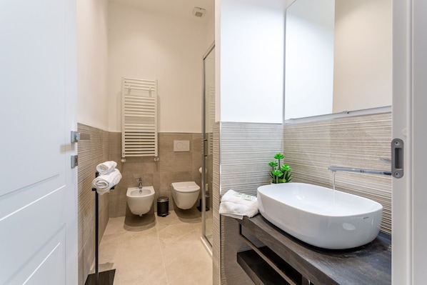 Shower, hair dryer, bidet, towels