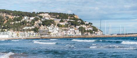 بالقرب من الشاطئ